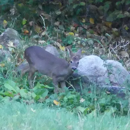 Les Neufs Lieux Apartmán