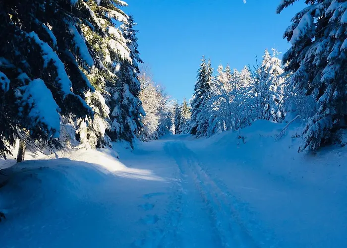 Les Neufs Lieux * Gérardmer