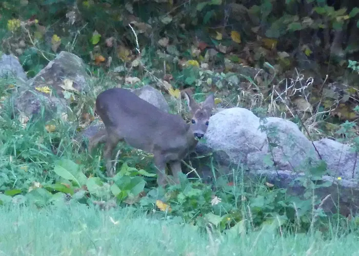 Les Neufs Lieux Apartmán